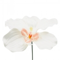 Dirbtinė gėlė orchidėjos žiedas
