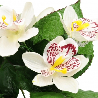 Orchidėjų puokštė