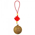Pakabukas-talismanas - moneta su gyvate ant raudonos virvelės