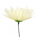 Dirbtinė gėlė adatinė chrizantemos žiedas, skersmuo 12,5 cm