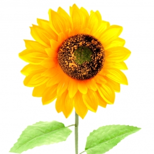 Dirbtinė gėlė saulėgrąža, 70 cm