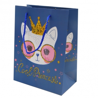 Dovanų maišelis su princese, 23 x 18 cm