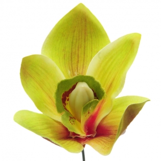 Dirbtinė gėlė orchidėjos...