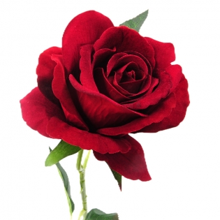 Dirbtinė rožės šaka, 50 cm