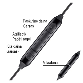 Laidinės Type-C ausinės