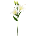 Dirbtinė baltai žalsva lelijų šaka, 65 cm