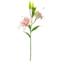 Dirbtinė violetinė lelijų šaka, 65 cm
