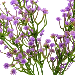 Dirbtinė violetinė gubojos...