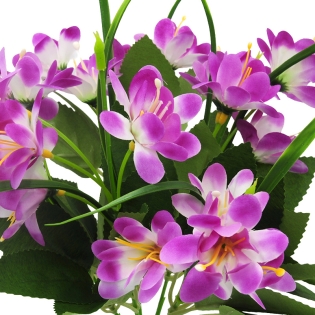 Dirbtinė violetinės spalvos...