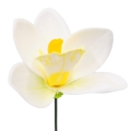 Baltas lateksinis orchidėjos žiedas