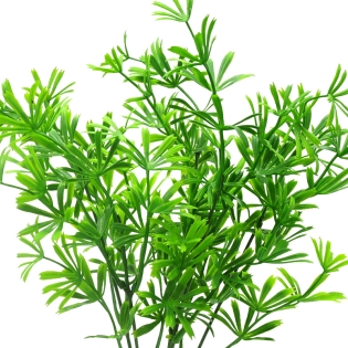 Dirbtinė rozmarino puokštė,...