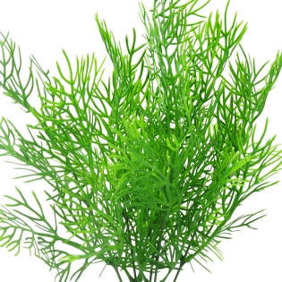 Dirbtinė tujos puokštė, 40 cm