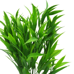 Dirbtinė bambuko puokštė,...