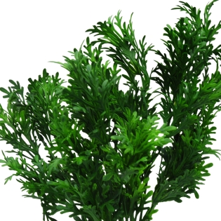 Dirbtinė tujos puokštė, 35 cm