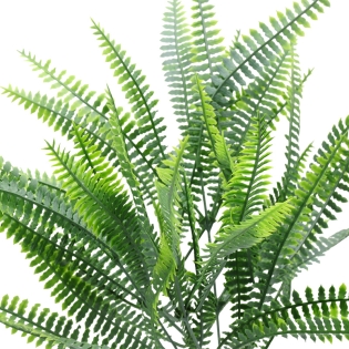 Dirbtinė paparčio puokštė,...